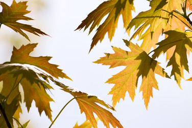 Similar image 1673854