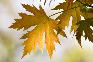 Similar image 1673855