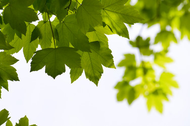 Similar image 1673866