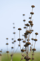 Similar image 1673867