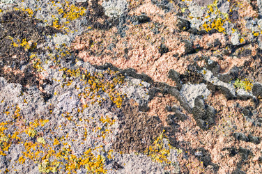 Similar image 1673870