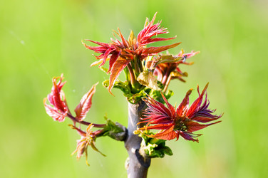 Similar image 1673871