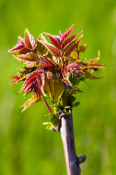 Similar image 1673873