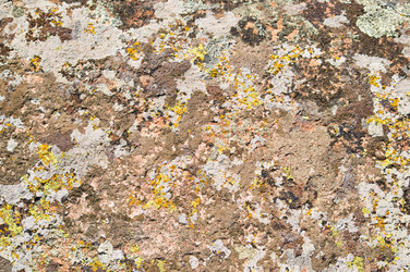 Similar image 1673875