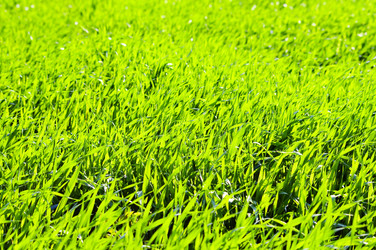 Similar image 1673876