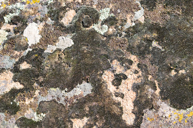 Similar image 1673879