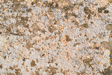 Similar image 1673880