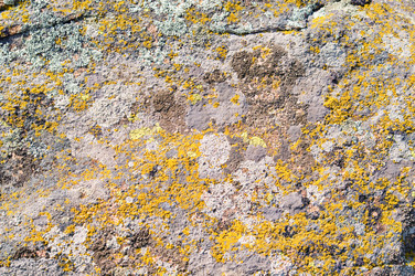 Similar image 1673881