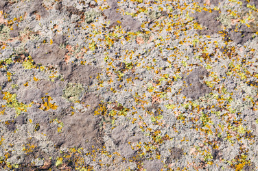 Similar image 1673882