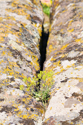 Similar image 1673885