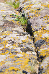 Similar image 1673887