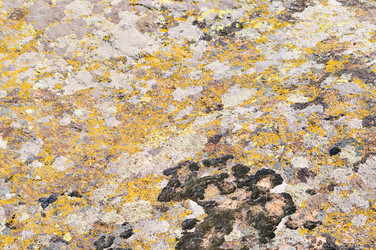 Similar image 1673888