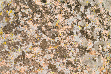 Similar image 1673889