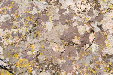 Similar image 1673891