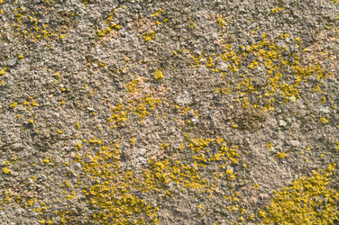 Similar image 1673890