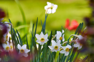 Similar image 1673892