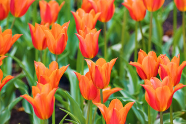 Similar image 1673896