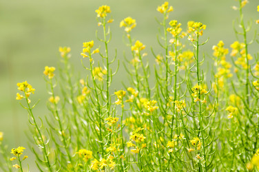 Similar image 1673895