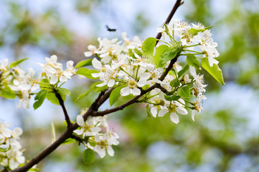 Similar image 1673897