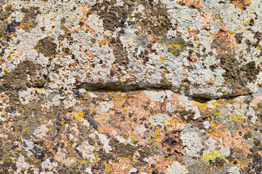 Similar image 1673898