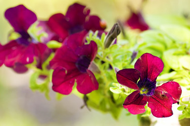 Similar image 1673899