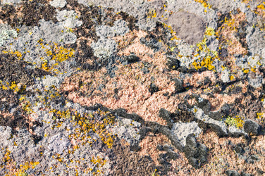 Similar image 1673900