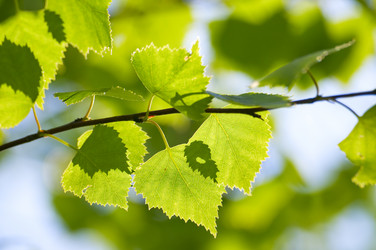 Similar image 1673901