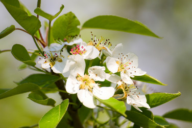 Similar image 1673902