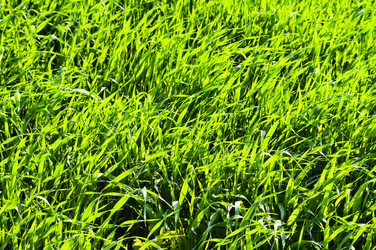 Similar image 1673903