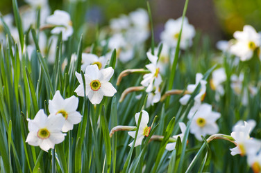 Similar image 1673904