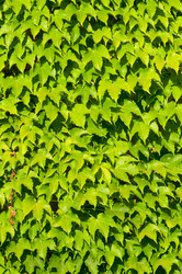 Similar image 1673907