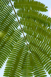 Similar image 1673910