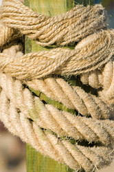 Similar image 1673912