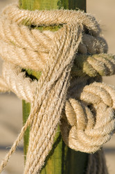 Similar image 1673913