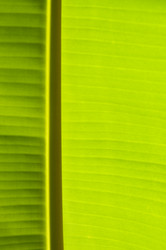 Similar image 1673915