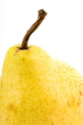 Similar image 1673918