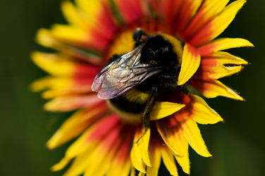 Similar image 1673919