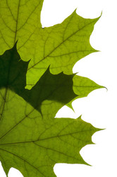 Similar image 1673924