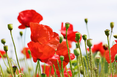 Similar image 1673923