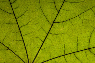 Similar image 1673925