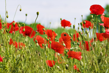 Similar image 1673926