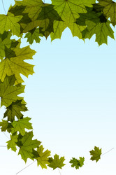 Similar image 1673927