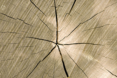 Similar image 1673928