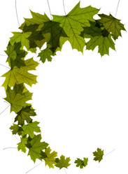 Similar image 1673929