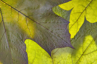 Similar image 1673931