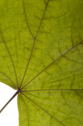 Similar image 1673933