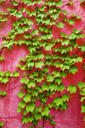 Similar image 1673935