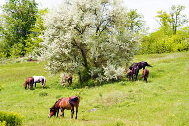 Similar image 1673939