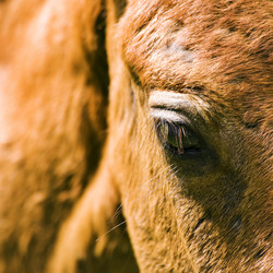 Similar image 1673941