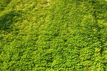 Similar image 1673943